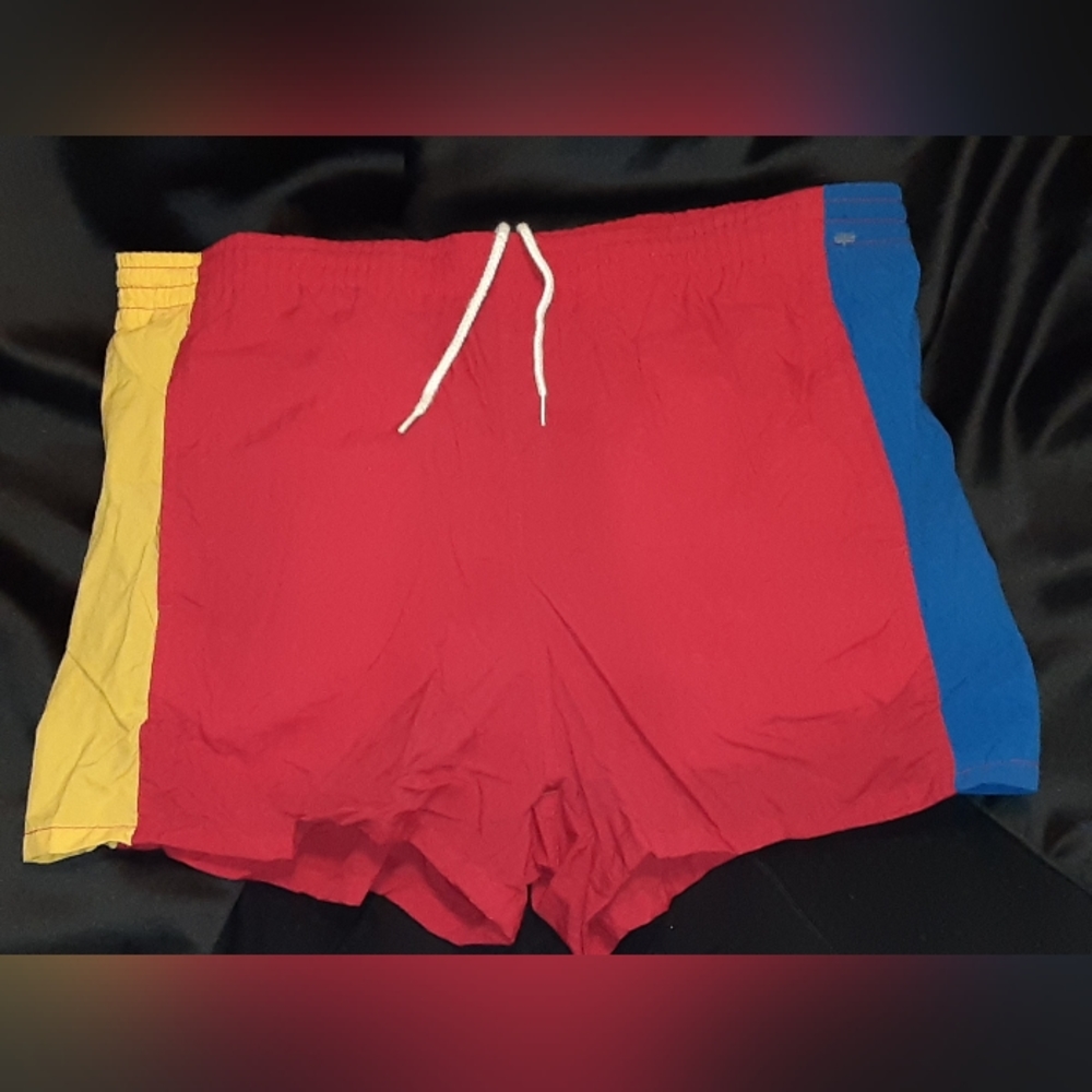Men's lined swimwear (size medium)